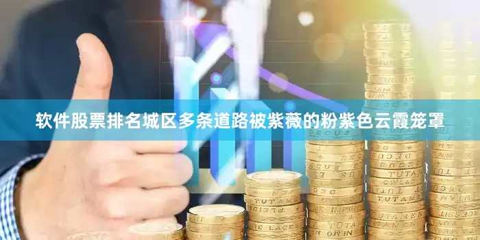 软件股票排名城区多条道路被紫薇的粉紫色云霞笼罩